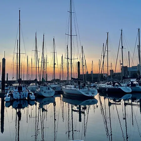 Voilier Miraflores * Cherbourg-en-Cotentin